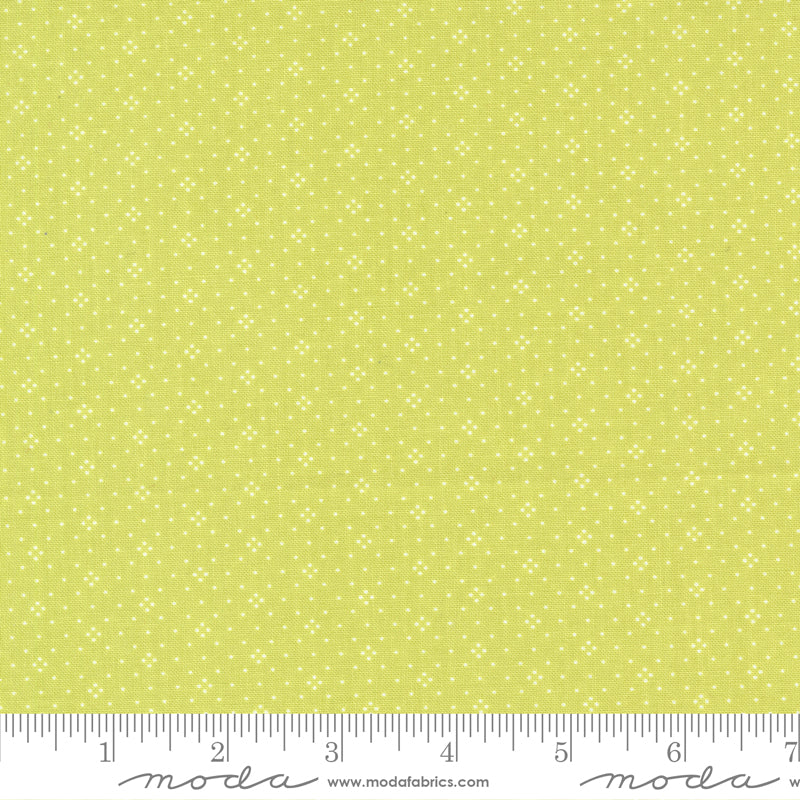 Eyelet Grass Blenders Light Green scale