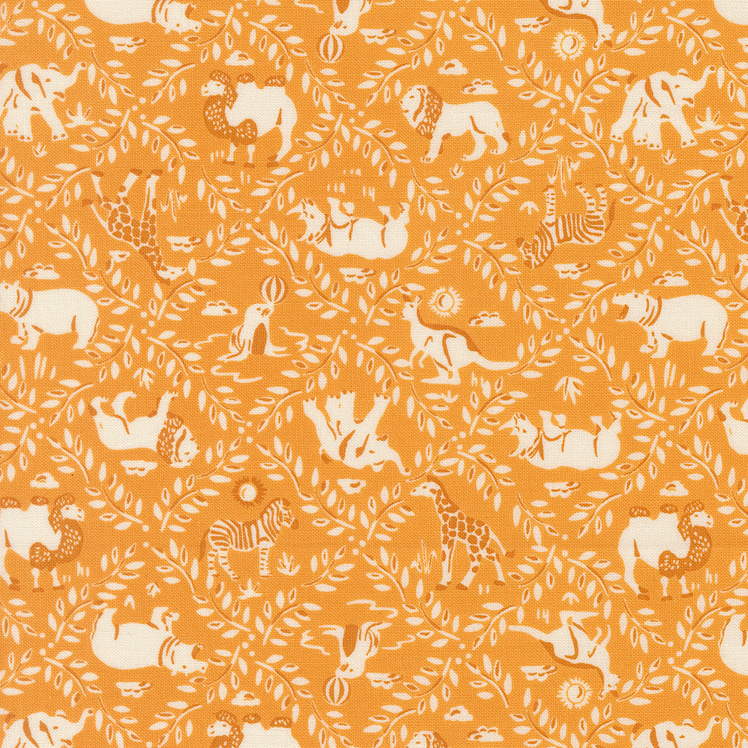 Animal Park Fun CANARY