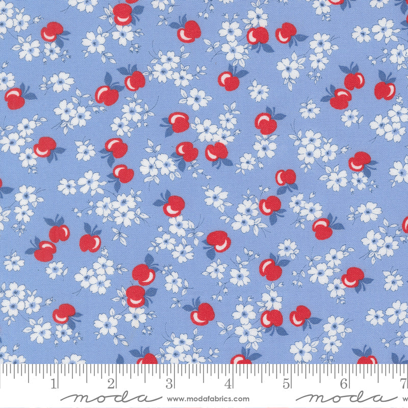 30s Playtime Apple Blossum Sky by Linzee McCray for Moda Fabrics 23371-17 scale