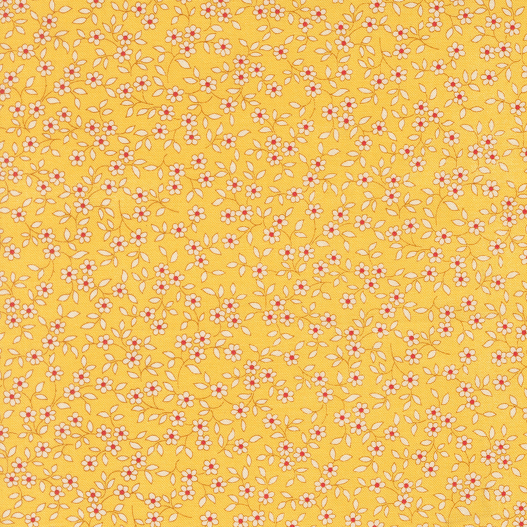 30s Playtime 2025 SUNSHINE