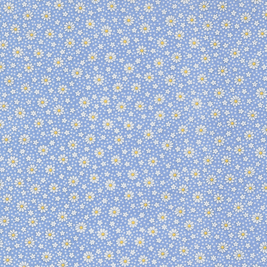 30s Playtime 2025 SKY