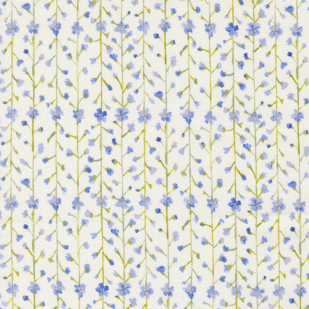 Sweet Cecily HYACINTH