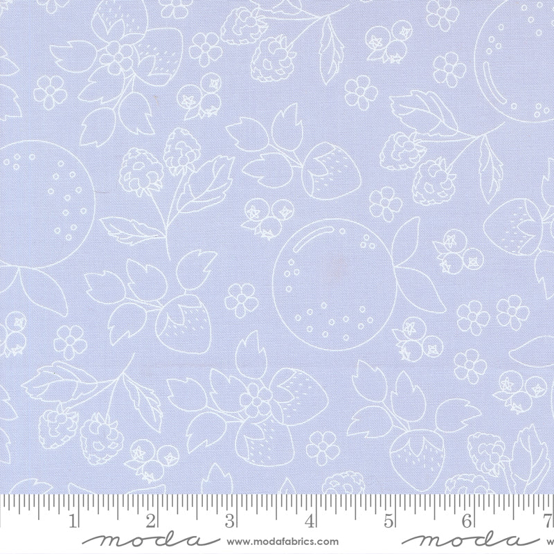 Fruit Salad Fruit Sketch Novelty Toile LIGHT BLUE by Corey Yoder for Moda 29241-22 scale