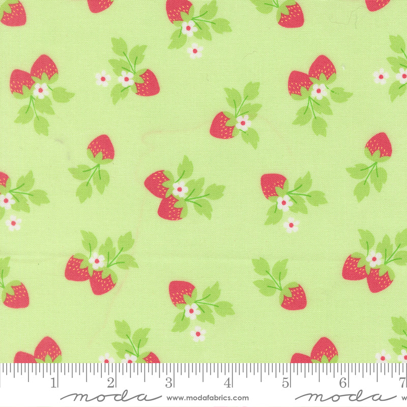 Fruit Salad Strawberries Novelty MELON by Corey Yoder for Moda 29243-20 scale