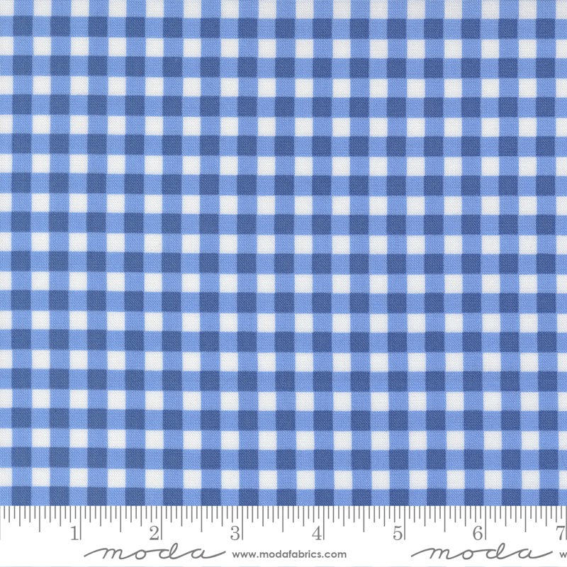 Fruit Salad Gingham Checks and Plaids COBALT by Corey Yoder for Moda 29245-24 scale