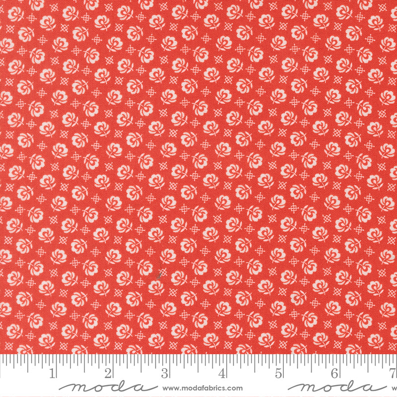 Rosie Prairie Toss Strawberry scale