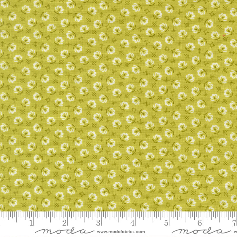 Rosie Prairie Toss Green Apple scale