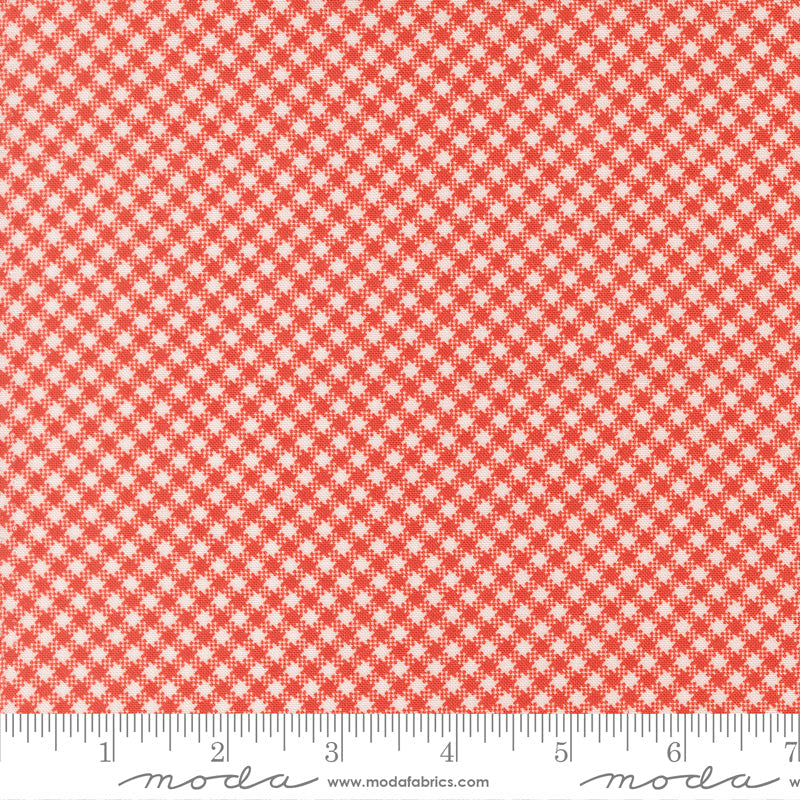 Rosie Gingham Strawberry scale