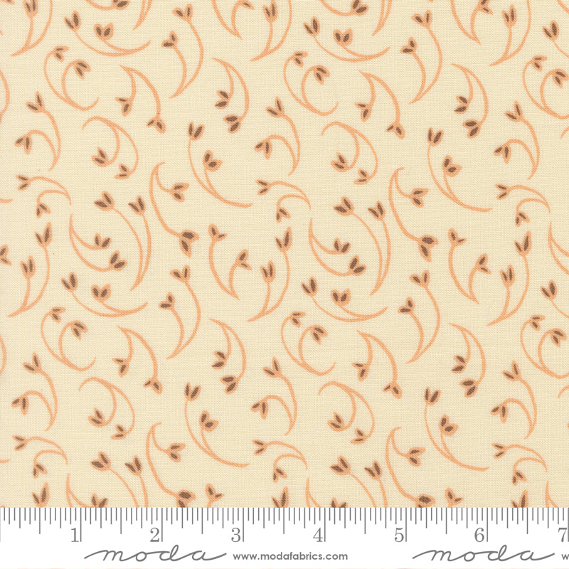 Sunlit Ruins Flowers of Aetna Florals Cream Blush scale