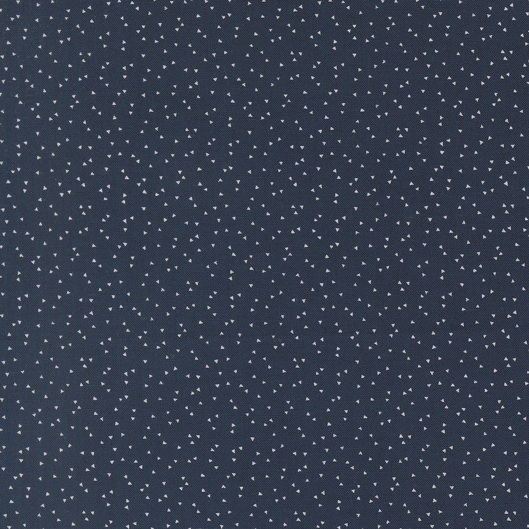 American Gatherings lll NAVY