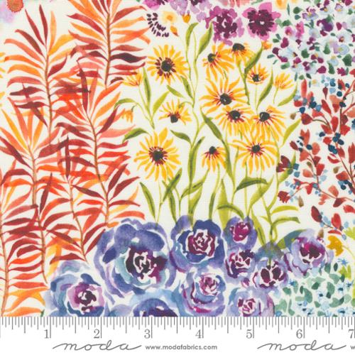 Floribunda CLOUD/MULTI