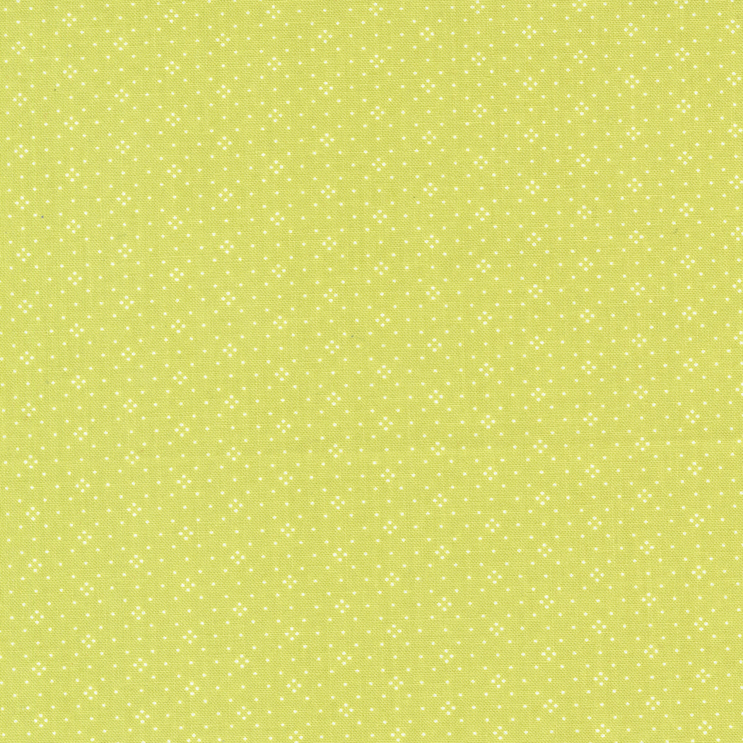 Eyelet Grass Blenders Light Green by Fig Tree Co for Moda