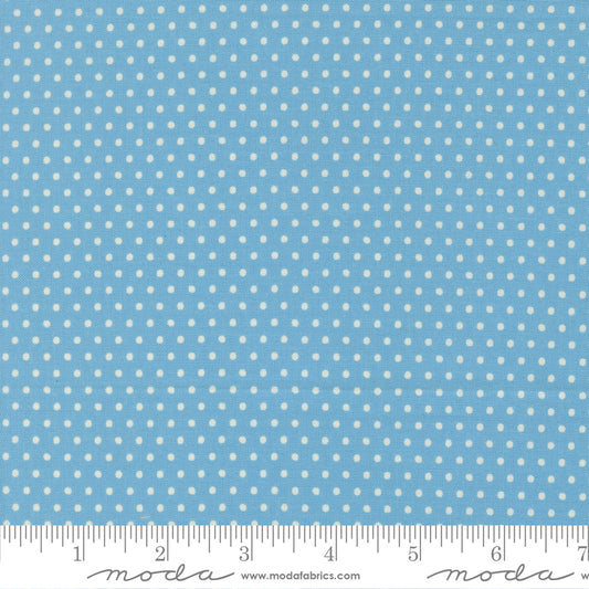 Animal Park Fun BLUEBIRD