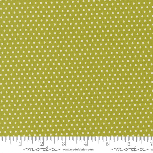 Animal Park Fun IGUANA