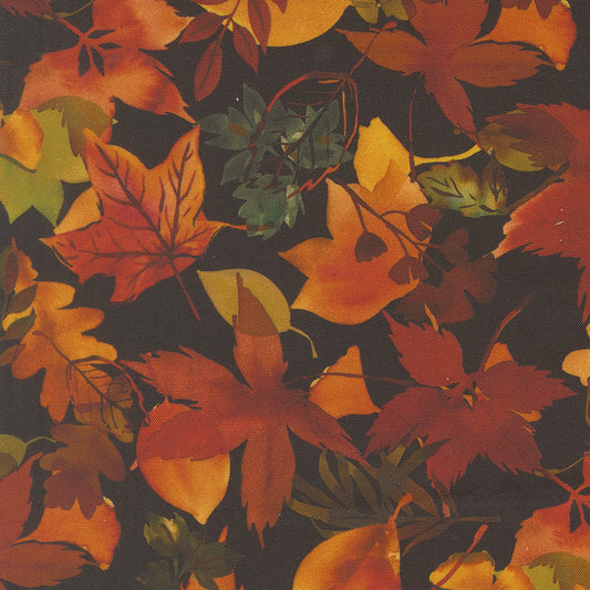 Northern Brights amarilys-henderson-2185517 by Amarilys Henderson for Moda Fabrics