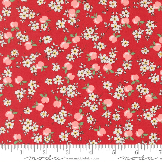 30s Playtime 2025 Apple Blossom Florals Apples
