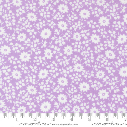 30s Playtime 2025 LILAC