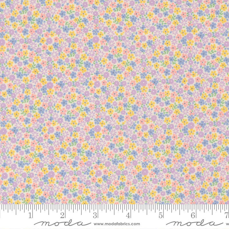 30s Playtime 2025 CUTE CALICO SM FLORAL