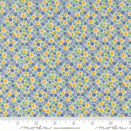 30s Playtime 2025 CUTE CALICO SM FLORAL