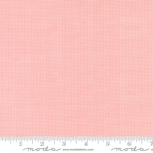 30s Playtime 2025 PETAL