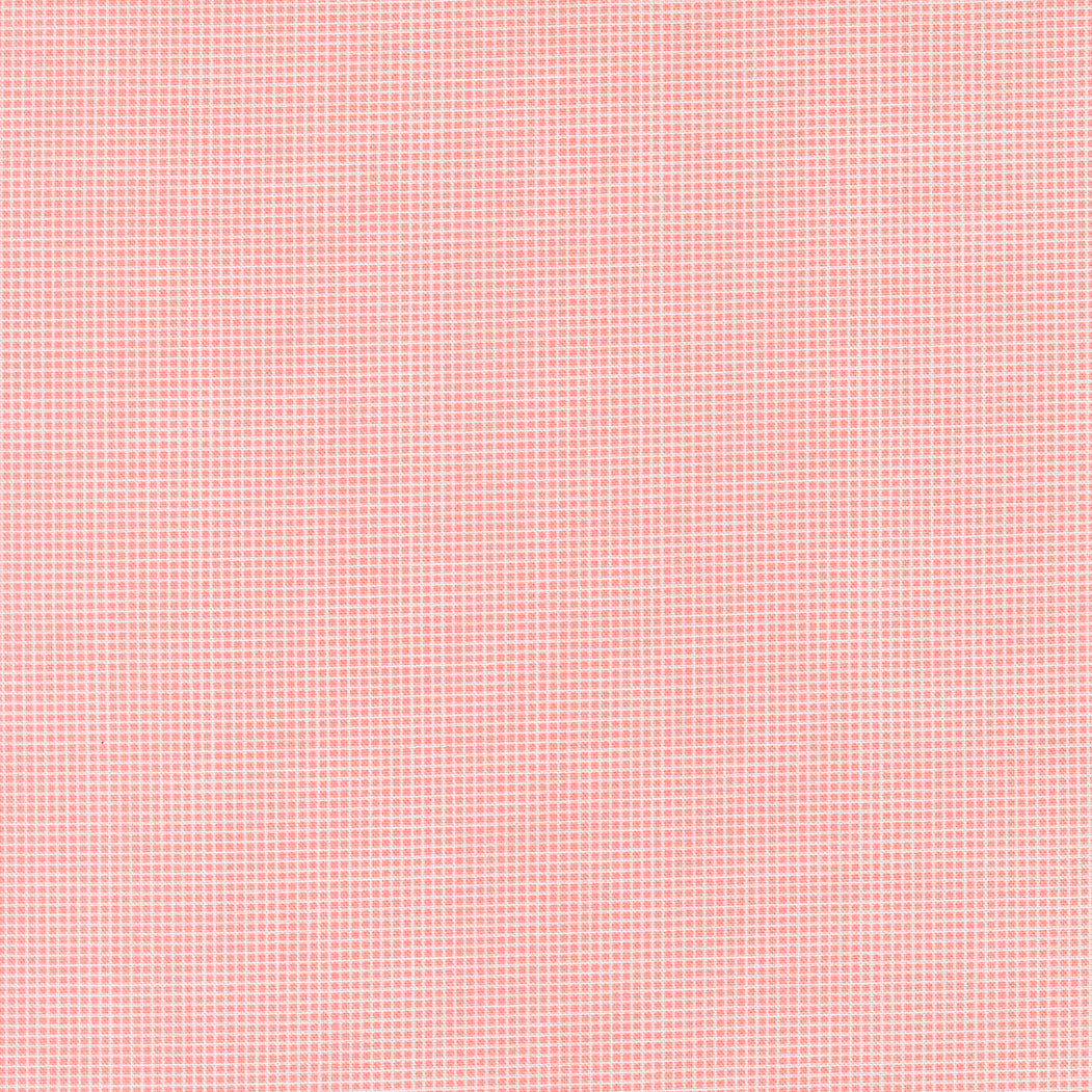 30s Playtime 2025 PETAL