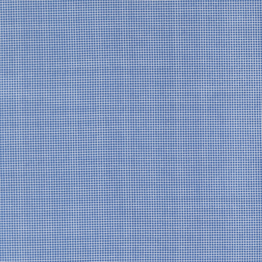30s Playtime Screen Door Bluebell by Linzee McCray for Moda Fabrics 23377-18