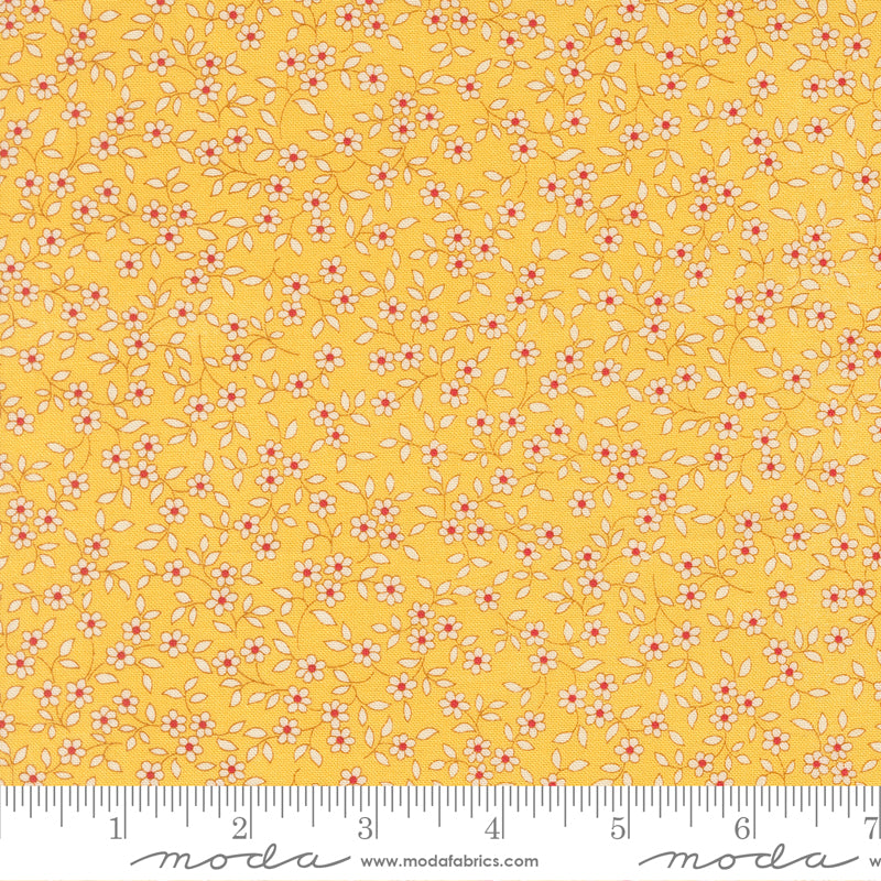 30s Playtime 2025 SUNSHINE