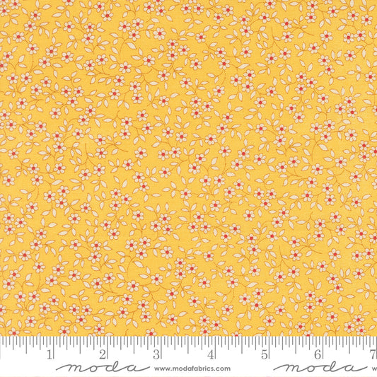 30s Playtime 2025 SUNSHINE