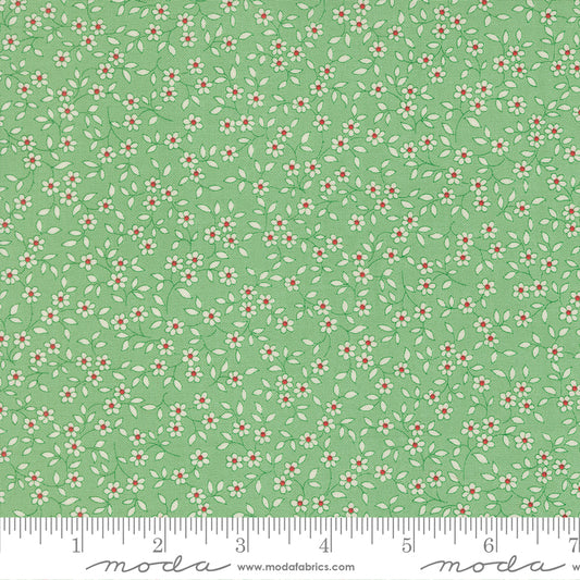 30s Playtime 2025 ALOE