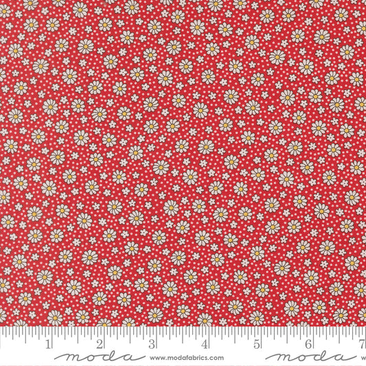 30s Playtime 2025 SCARLET