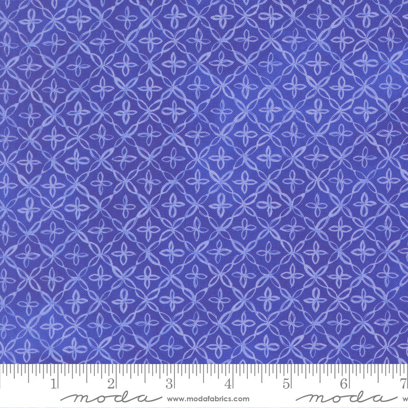 Delphinium Flourish Checks and Plaids AGAPANTHUS by Janet Clare for Moda 24656-18 scale
