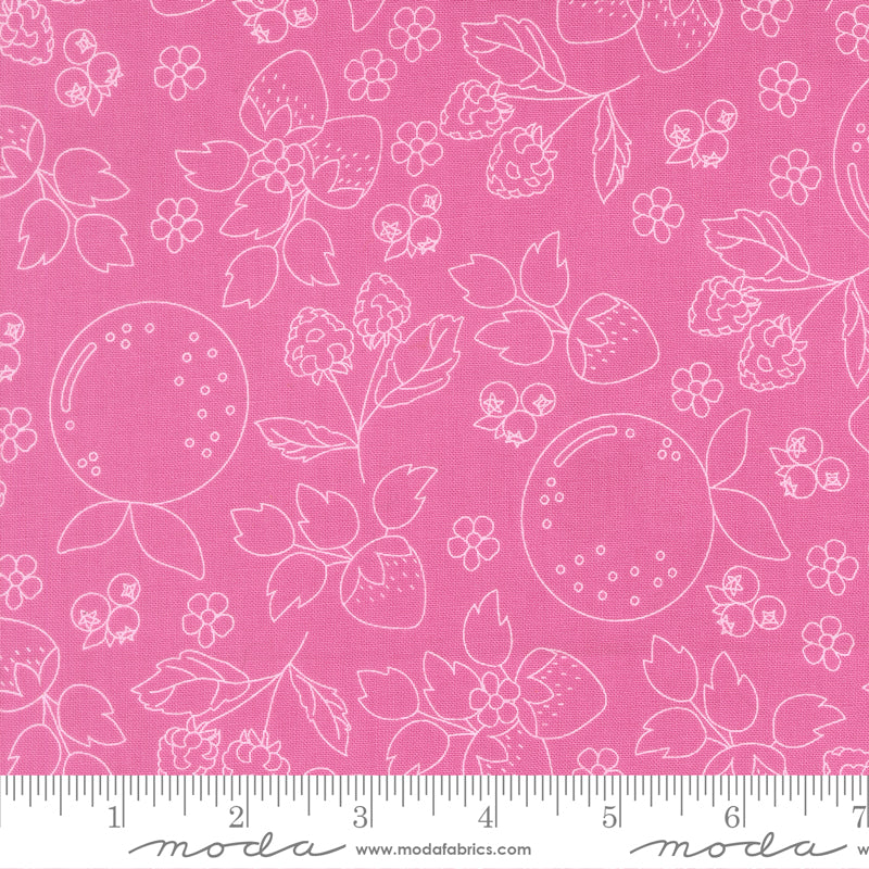 Fruit Salad Fruit Sketch Novelty Toile PETAL PINK by Corey Yoder for Moda 29241-26 scale