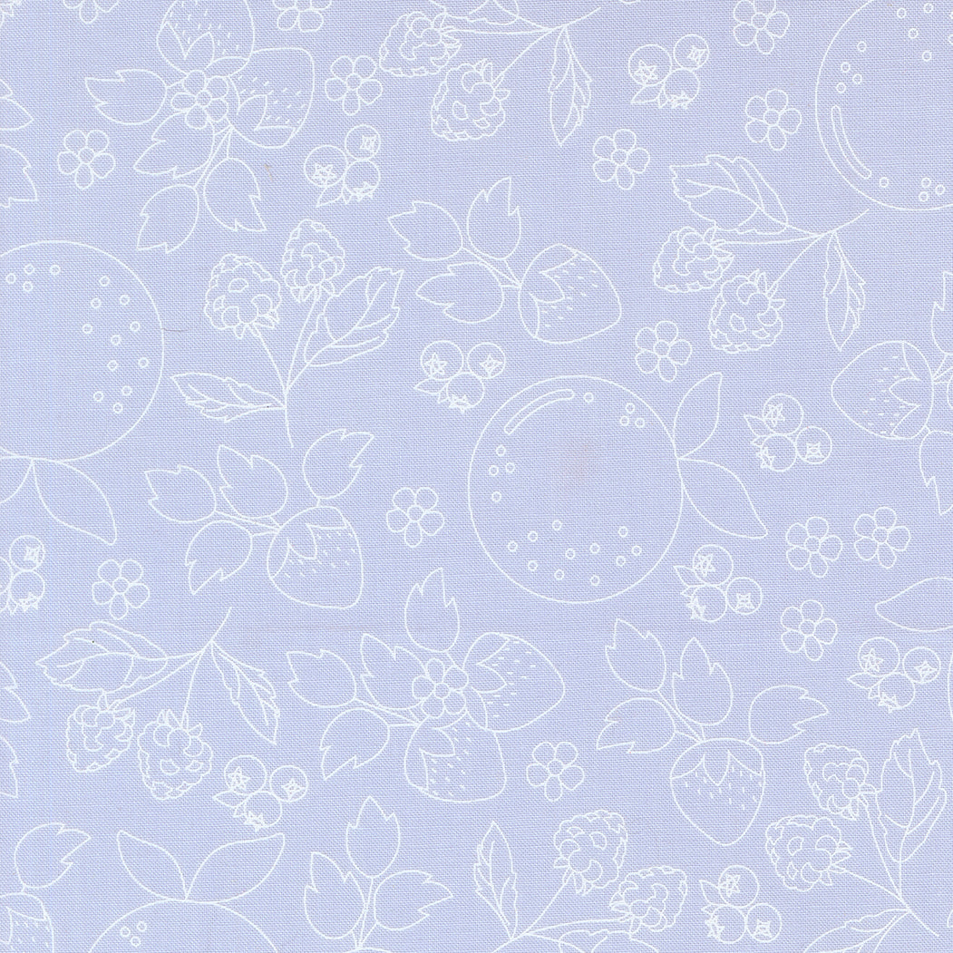 Fruit Salad Fruit Sketch Novelty Toile LIGHT BLUE by Corey Yoder for Moda 29241-22