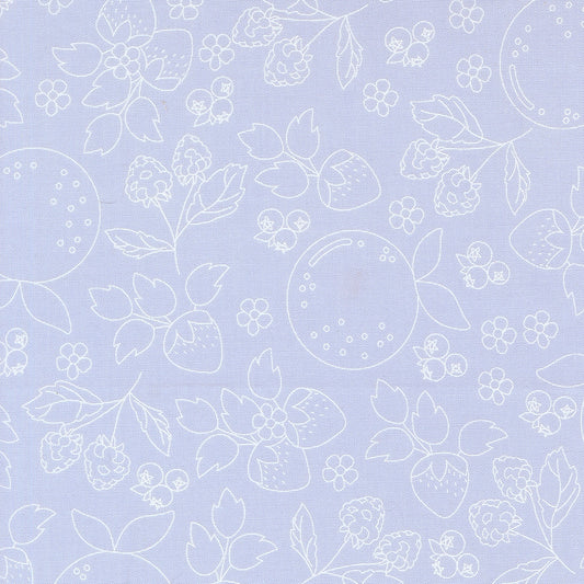 Fruit Salad Fruit Sketch Novelty Toile LIGHT BLUE by Corey Yoder for Moda 29241-22