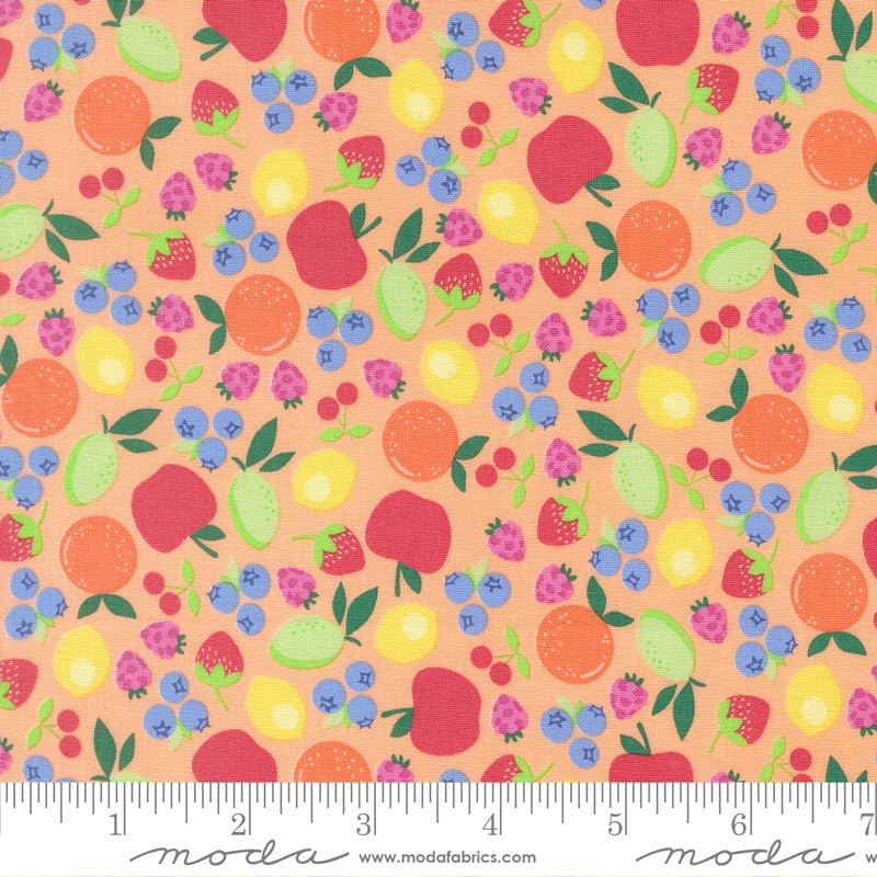 Fruit Salad Fruit Cup Novelty CANTALOUPE by Corey Yoder for Moda 29242-15 scale