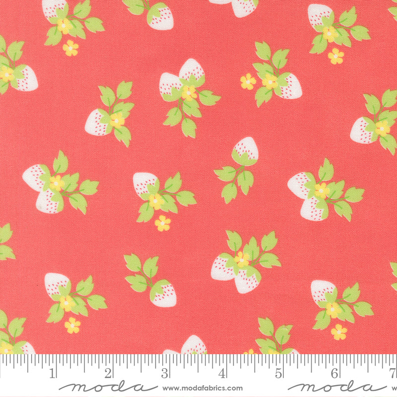 Fruit Salad Strawberries Novelty FLAMINGO by Corey Yoder for Moda 29243-12 scale