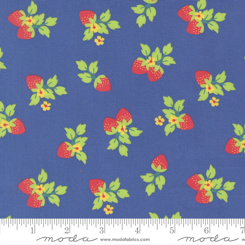 Fruit Salad Strawberries Novelty COBALT by Corey Yoder for Moda 29243-24 scale