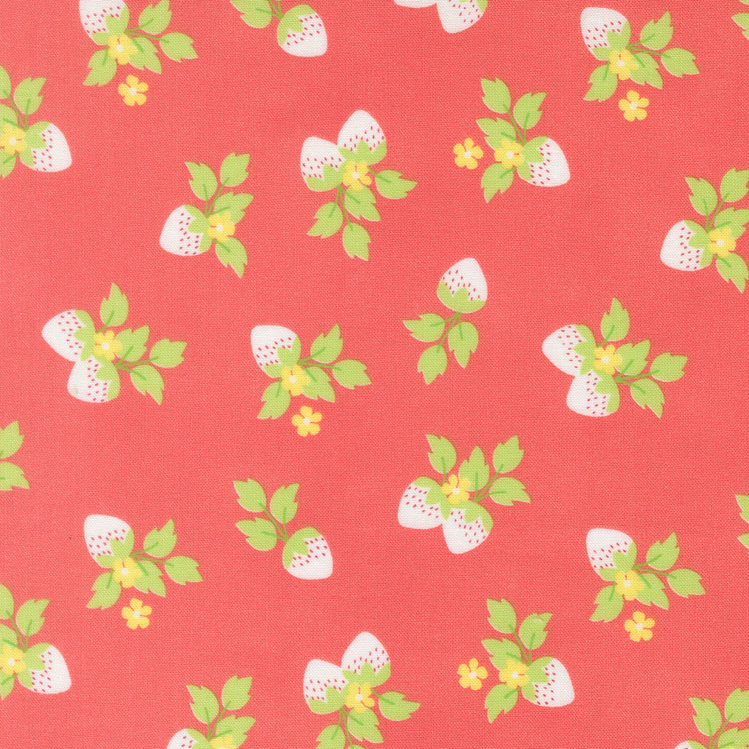 Fruit Salad Strawberries Novelty FLAMINGO by Corey Yoder for Moda 29243-12