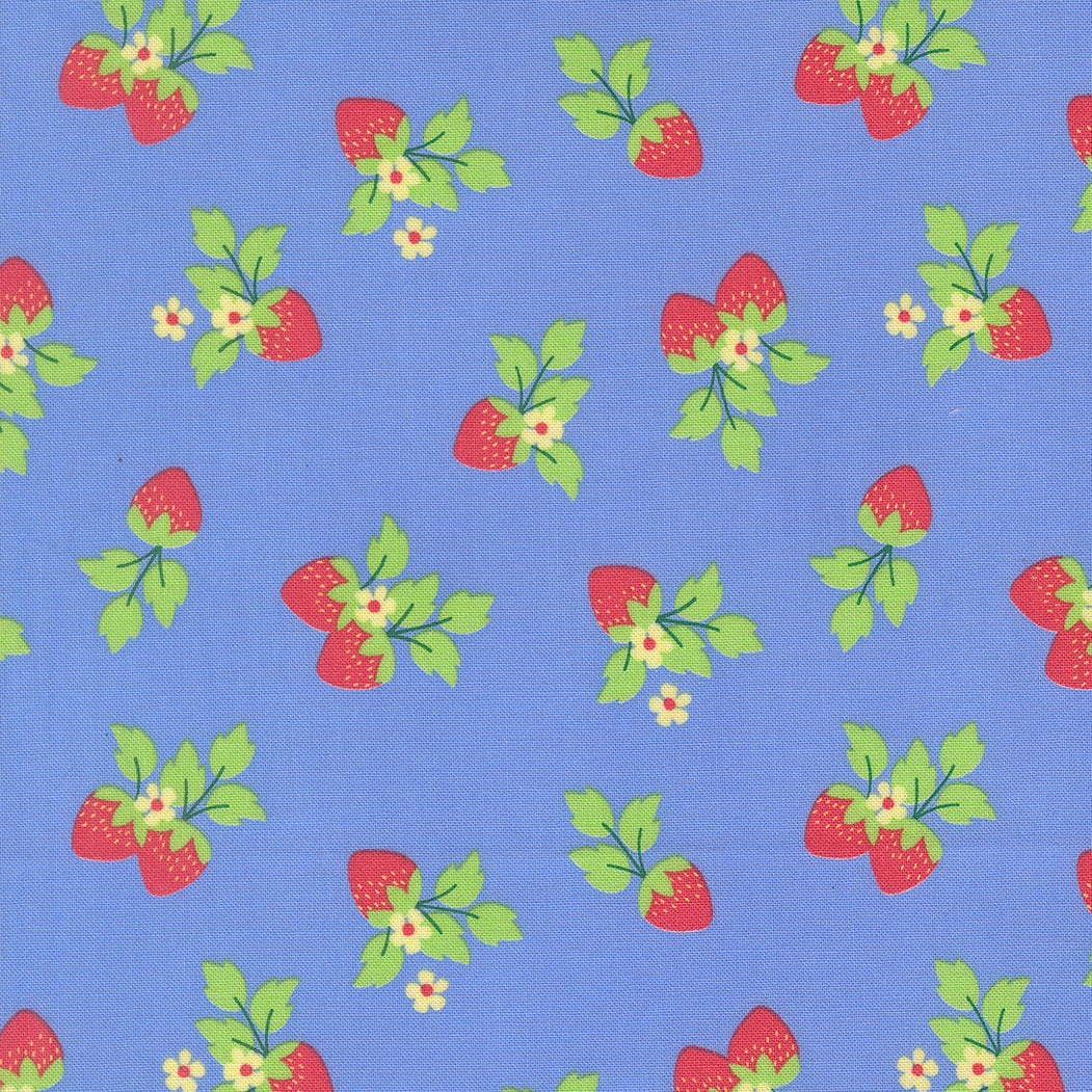 Fruit Salad Strawberries Novelty SKY by Corey Yoder for Moda 29243-23