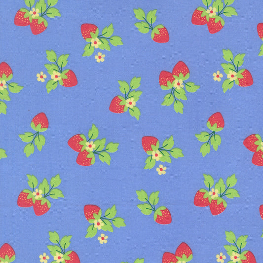 Fruit Salad Strawberries Novelty SKY by Corey Yoder for Moda 29243-23