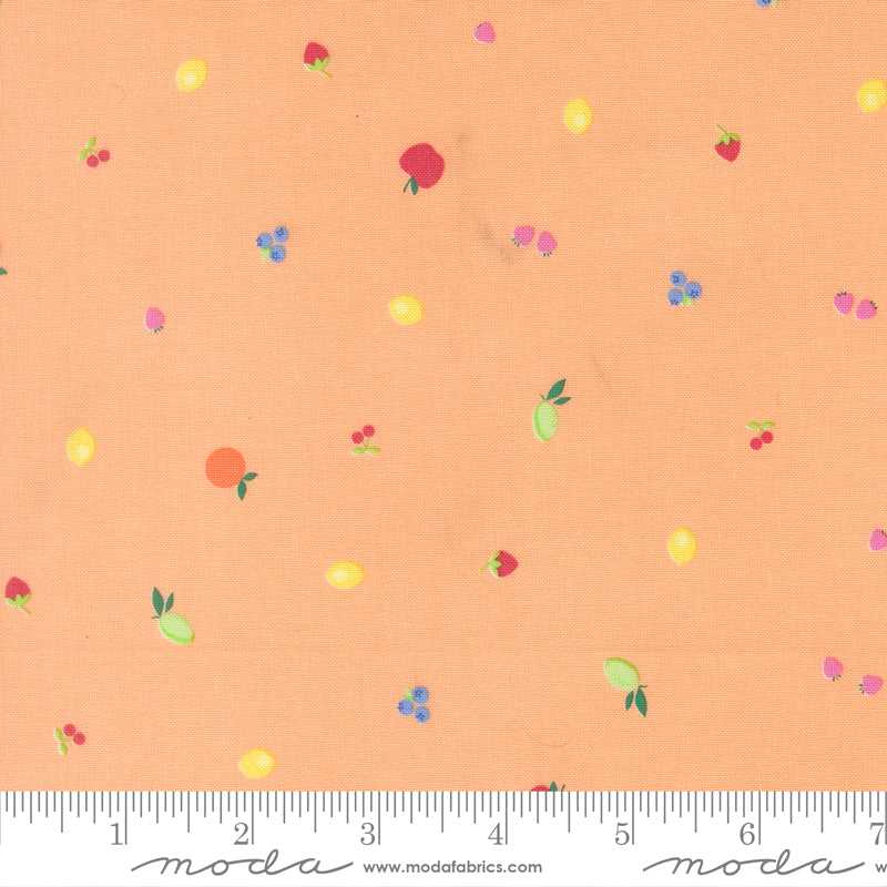 Fruit Salad Fruit Snack Blenders Small Fruit Dot CANTALOUPE by Corey Yoder for Moda 29244-15 scale