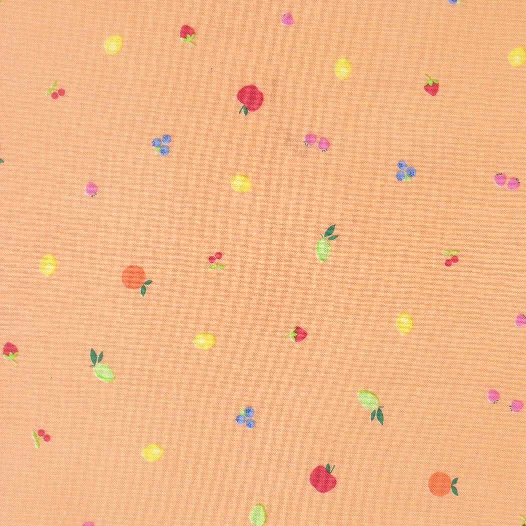 Fruit Salad Fruit Snack Blenders Small Fruit Dot CANTALOUPE by Corey Yoder for Moda 29244-15