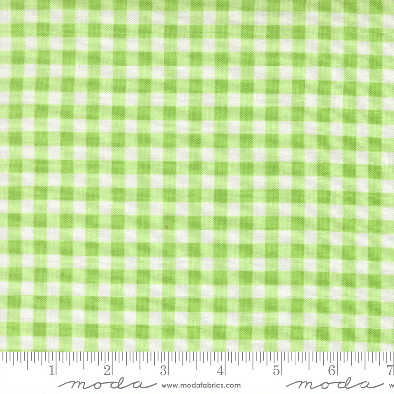 Fruit Salad Gingham Checks and Plaids LIME by Corey Yoder for Moda 29245-19 scale