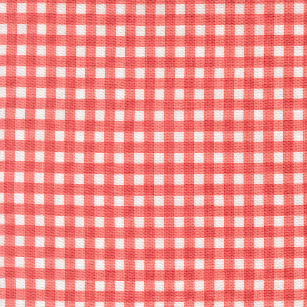 Fruit Salad Gingham Checks and Plaids FLAMINGO by Corey Yoder for Moda 29245-12