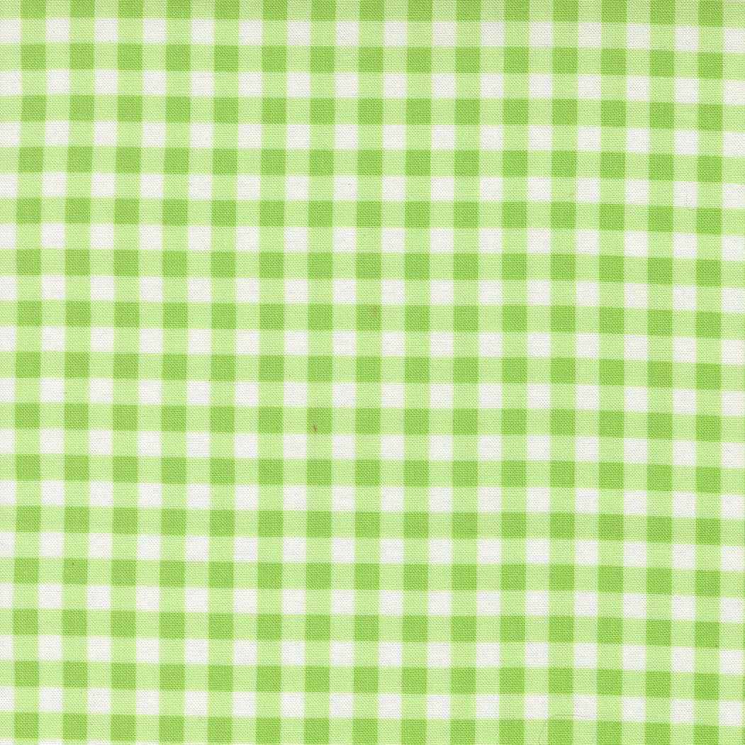 Fruit Salad Gingham Checks and Plaids LIME by Corey Yoder for Moda 29245-19