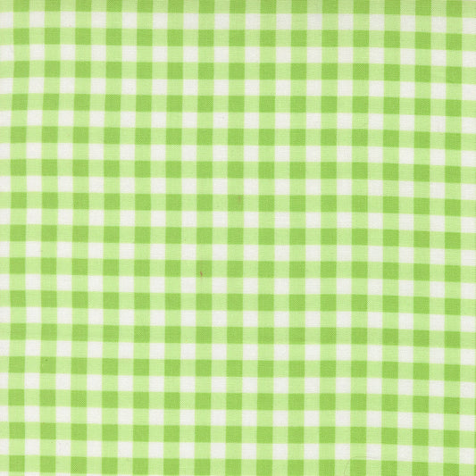 Fruit Salad Gingham Checks and Plaids LIME by Corey Yoder for Moda 29245-19