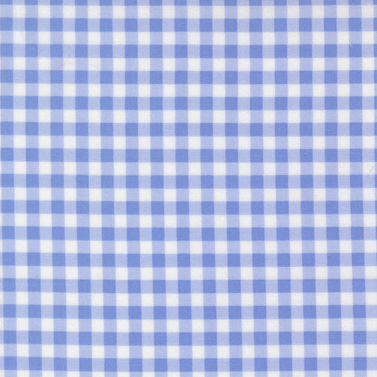 Fruit Salad Gingham Checks and Plaids LIGHT BLUE by Corey Yoder for Moda 29245-23