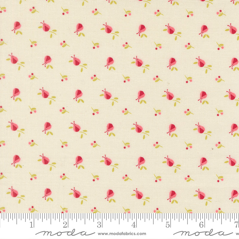 Lyda Rose PORCELAIN Lady Bugs Novelty yardage