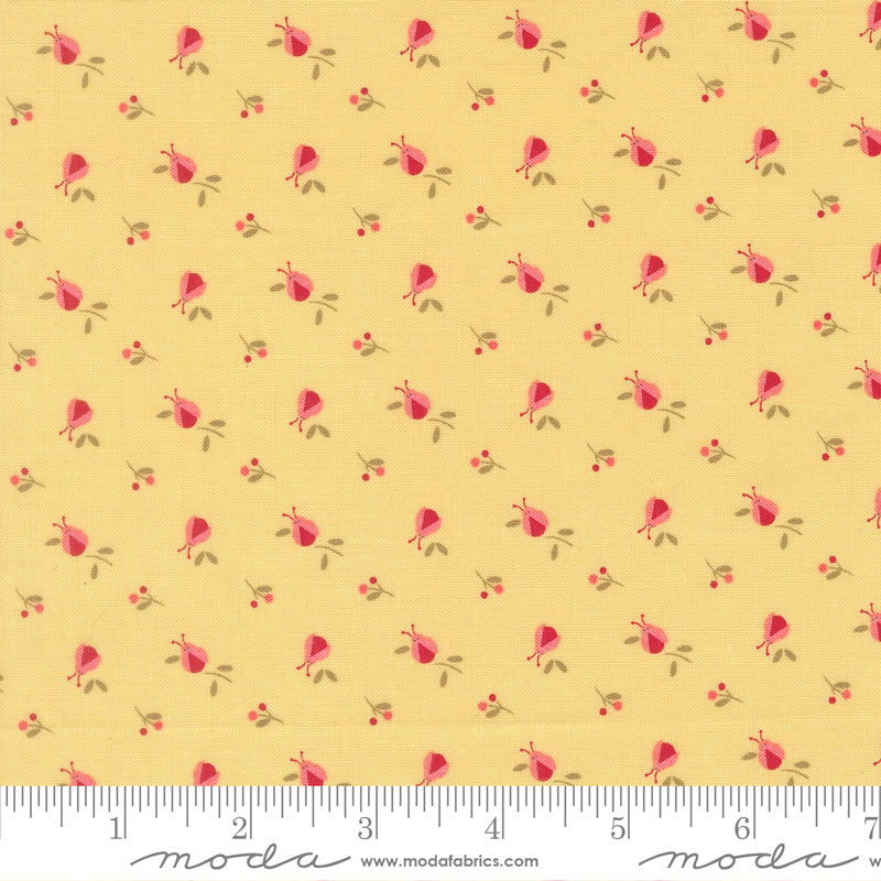 Lyda Rose SUNWASHED Lady Bugs Novelty yardage