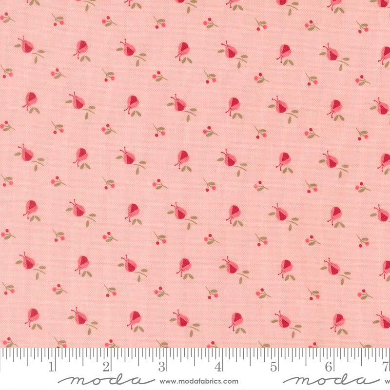 Lyda Rose PINK Lady Bugs Novelty yardage